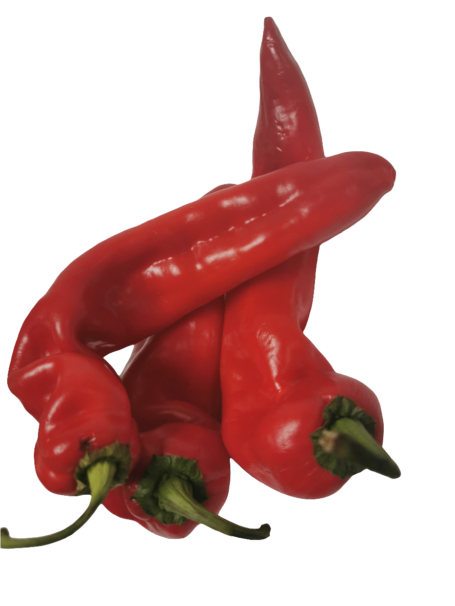 Chilli Pepper