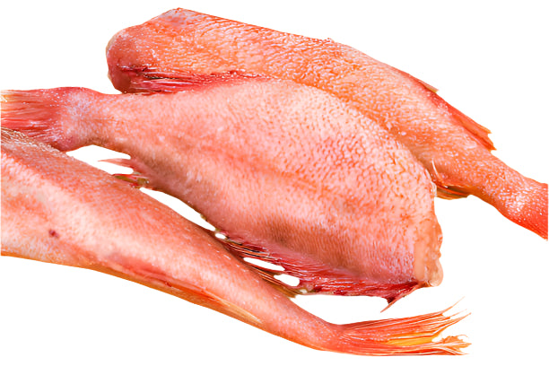 Headless Red Bream (Frozen)