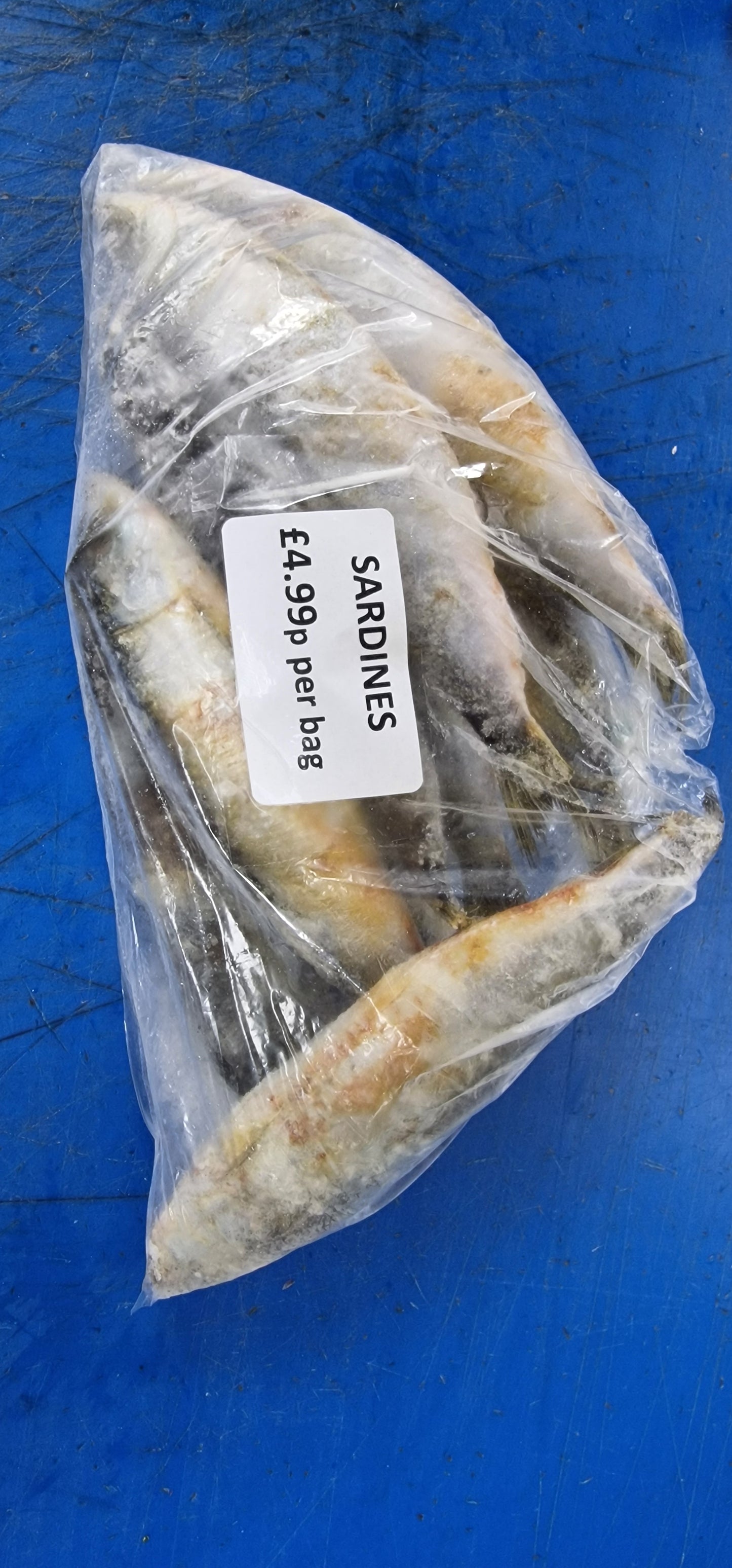 Sardines (Frozen) size