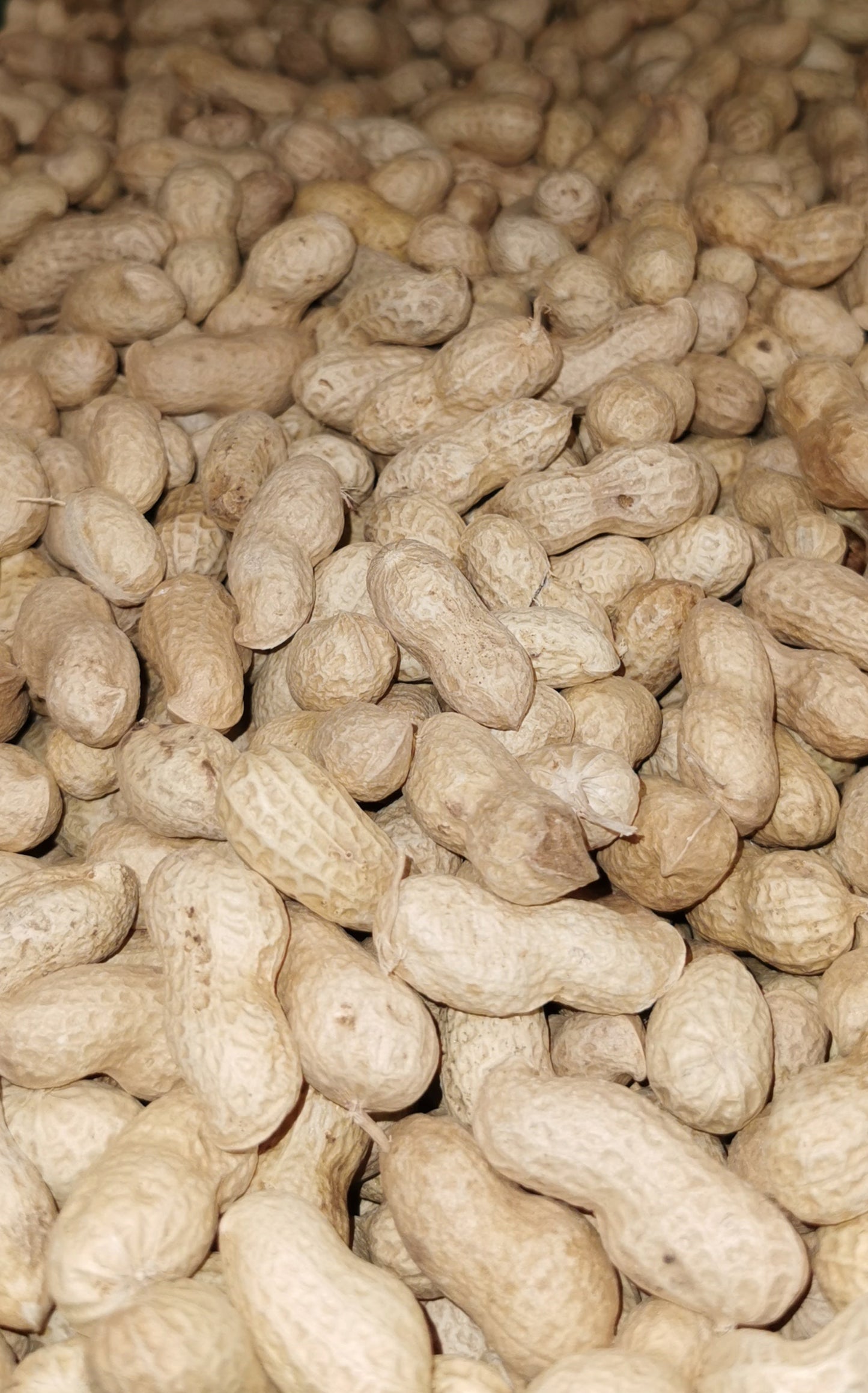 Peanuts (1kg)