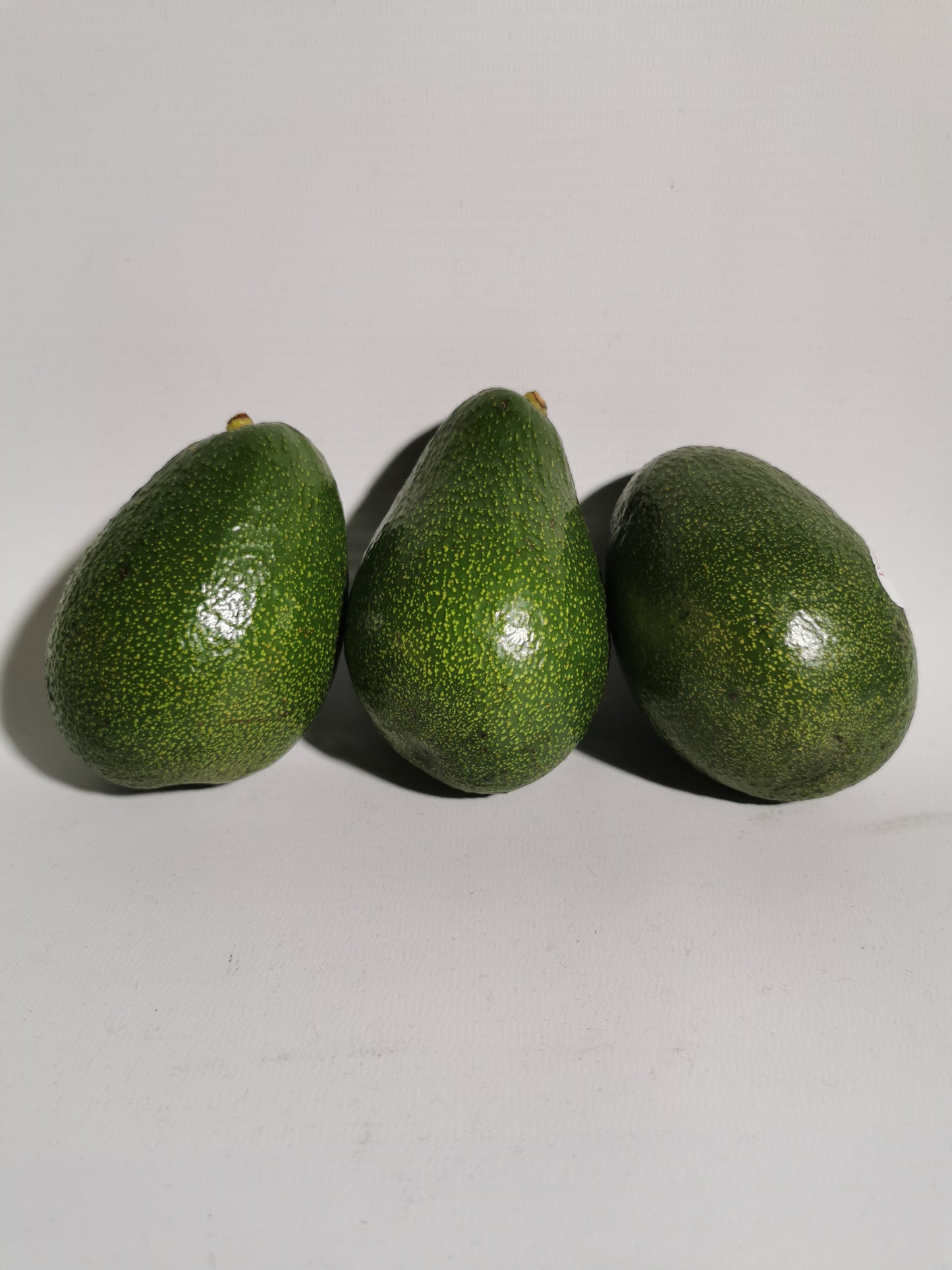 Avacado (Spanish)
