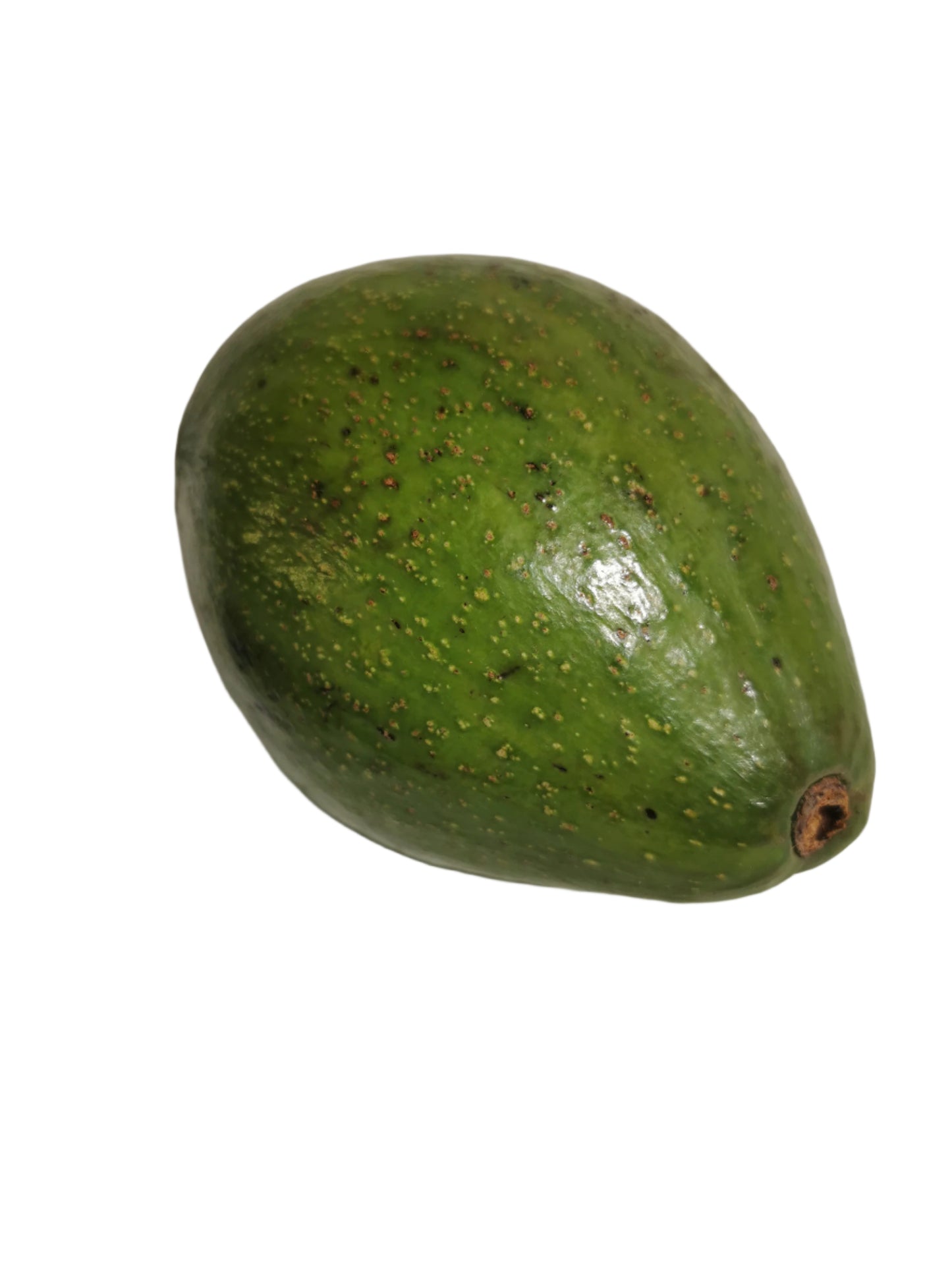 Avacado Jamaican