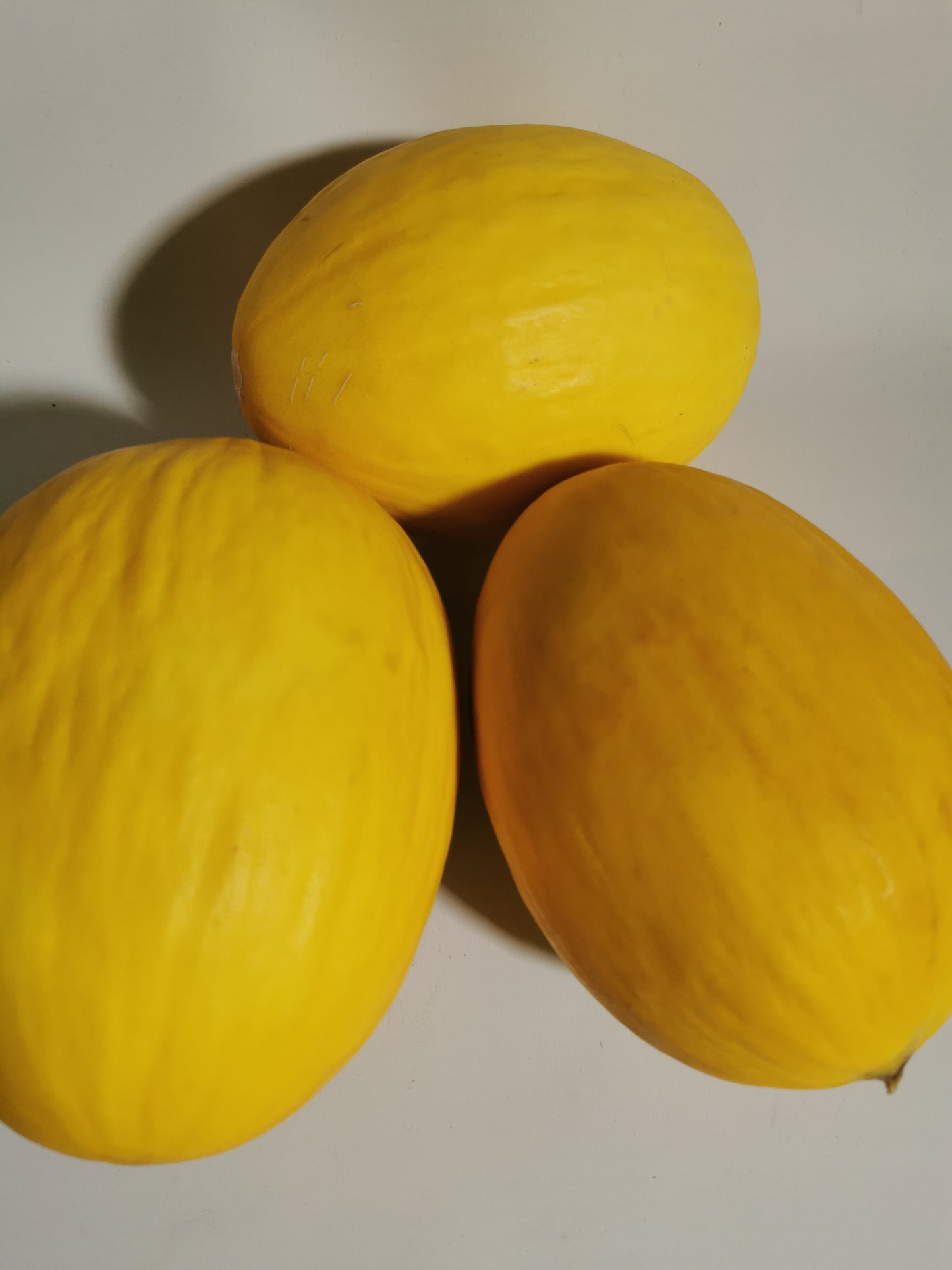 Yellow Melon