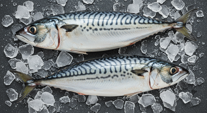 Whole Mackerel (Frozen)