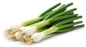 Spring Onion