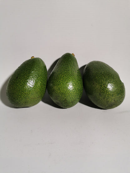 Avacado (Spanish)